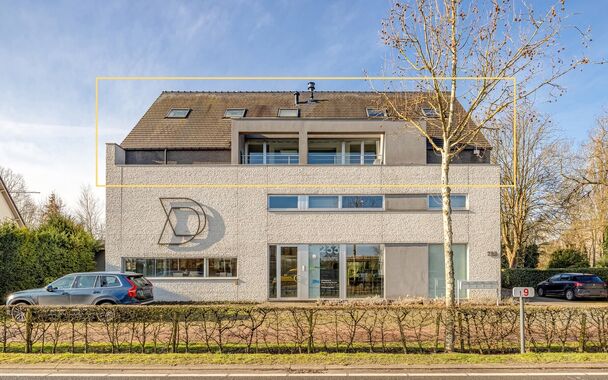 RUIM KANTOOR MET EEN OPPERVLAKTE VAN MAAR LIEFST 256 M2, 30m2 OPSLAGRUIMTE EN 42M2 TERRAS, OP ZICHTLOCATIE TE HASSELT (NET BUITEN DE GROTE RING)

Deze open kantoorruimte bevindt zich op de Luikersteenweg net buiten de grote ring van Hasselt. Het geheel li