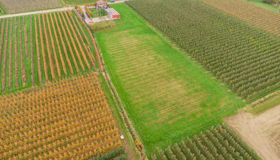 Huis te koop in Alken