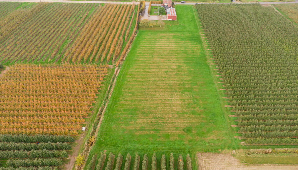 Huis te koop in Alken