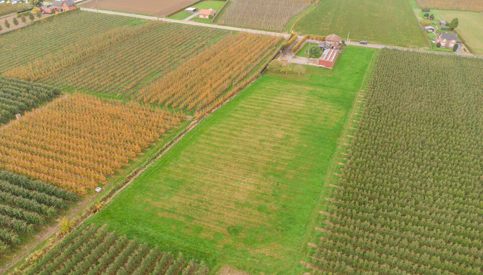 Huis te koop in Alken