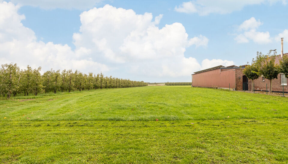 Huis te koop in Alken